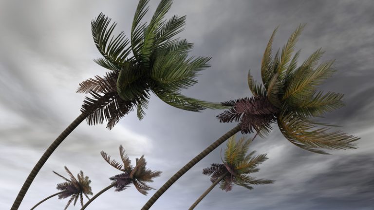Po huraganie Irma zmalała populacja Florida Keys