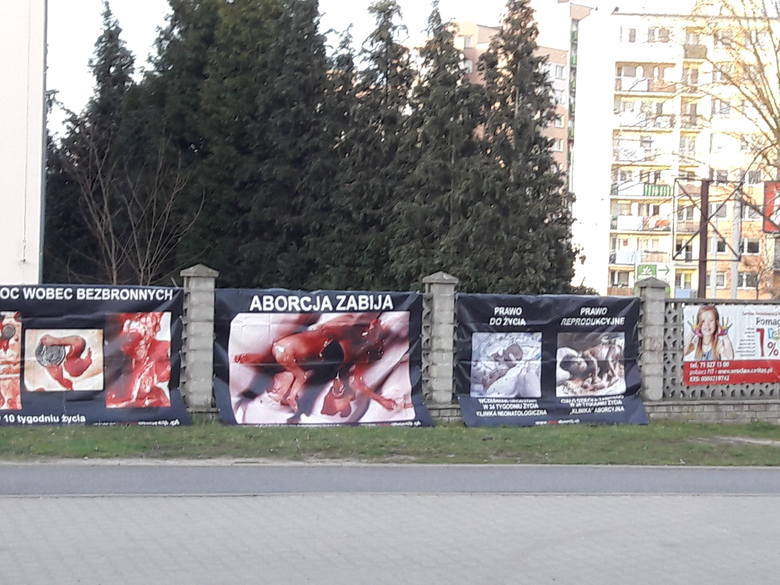 Zdjęcia zakrwawionych płodów na murze przy wrocławskim kościele Zdjęcia zakrwawionych płodów na murze przy wrocławskim kościele