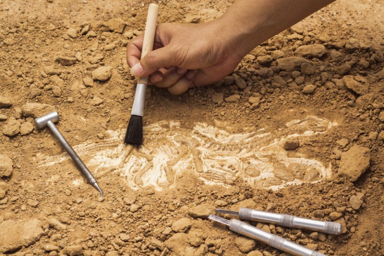 Egipt: Archeolodzy odkryli prawdopodobnie najstarszy na świecie browar o dużej produkcji