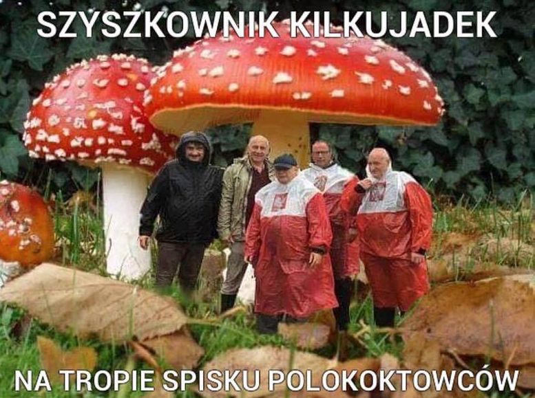 Kaczynski Mem Wiadomosci Com