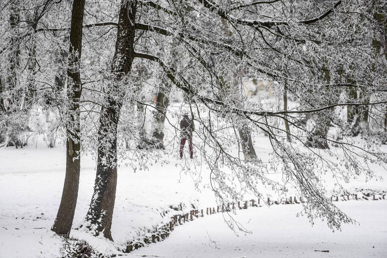 Idzie ochłodzenie. To początek przyjścia zimy? Idzie ochłodzenie. To początek przyjścia zimy?