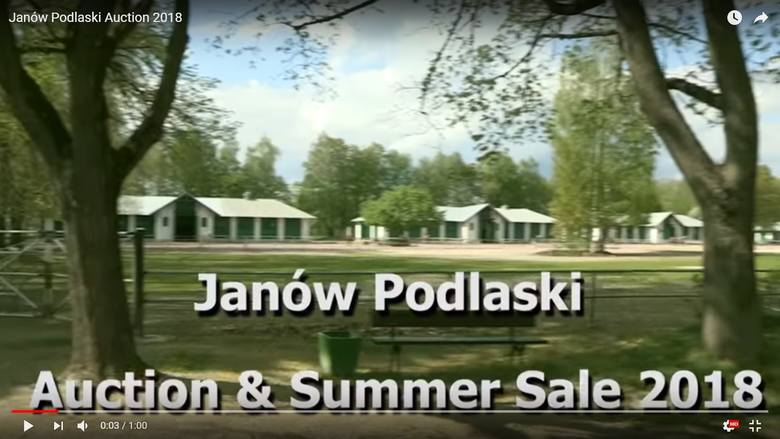 Kontrowersje wokół klipu promującego aukcję koni w Janowie. “Czy to jest żart?” Kontrowersje wokół klipu promującego aukcję koni w Janowie. “Czy to jest żart?”