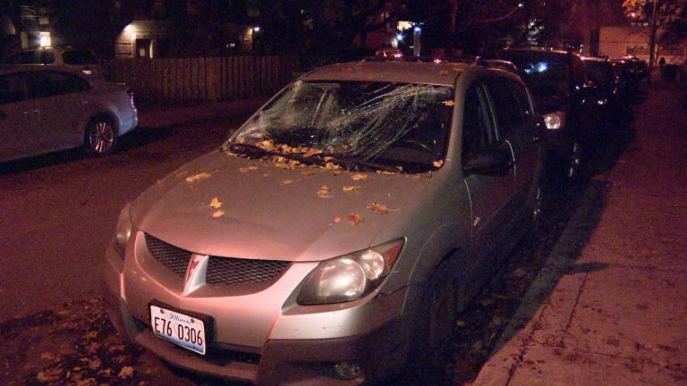 Akt wandalizmu w Hyde Park. Uszkodzono blisko 20 samochodów (VIDEO)