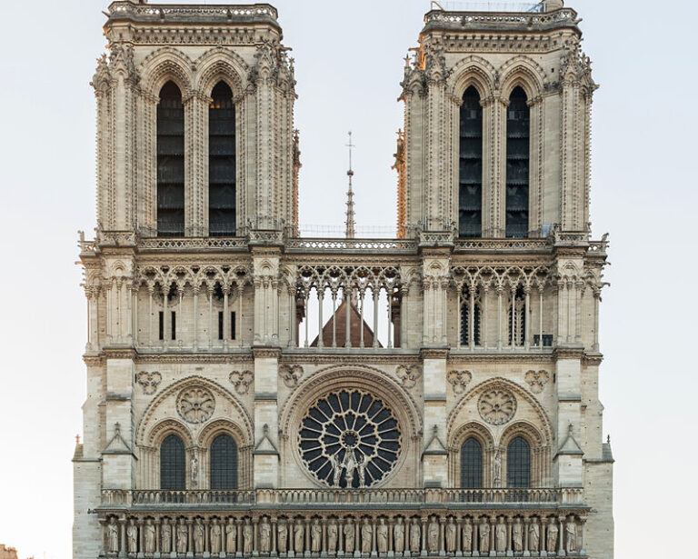 Francja: Do odbudowy Notre Dame będą użyte ponadstuletnie dęby; ekolodzy protestują