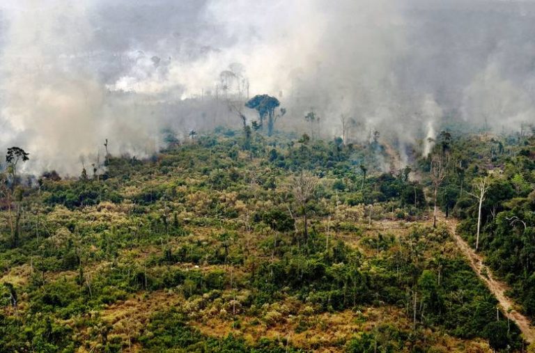 Pożar Amazonii. Brazylijska armia gasi pożary lasów. Prezydent Bolsonaro zakazał wypalania pól