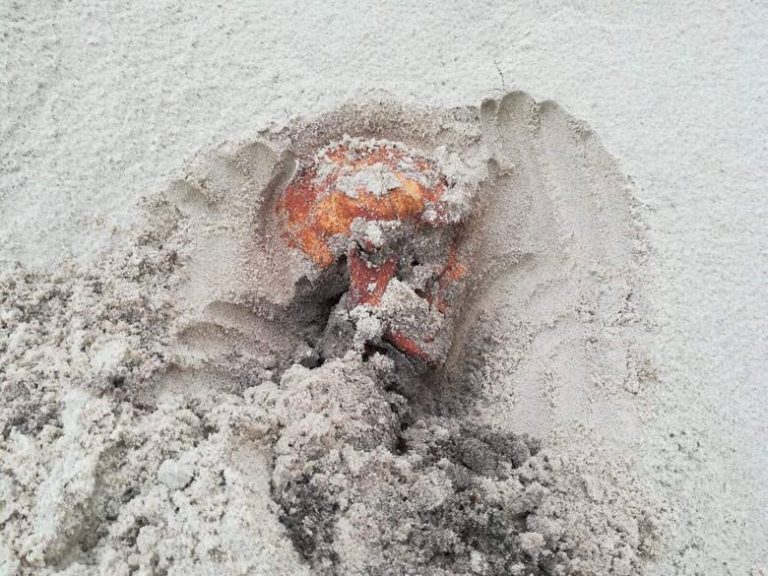Pomorze: Ludzkie szczątki znalezione na plaży w Rowach