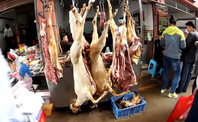 Australijski mikrobiolog: Pandemia Covid-19 zaczęła się w Chinach, a koronawirus pochodzi prawdopodobnie od nietoperzy