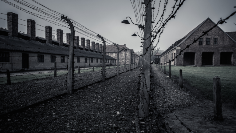 Prof. Musiał: W Niemczech nie wspomina się, że sprawcy z Auschwitz byli chronieni przez państwo