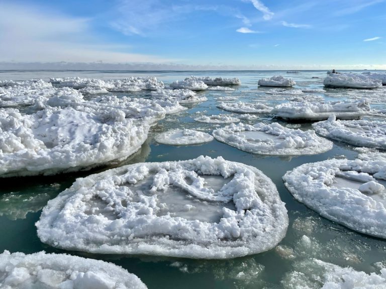 Lodowe „naleśniki i lilie” na jeziorze Michigan