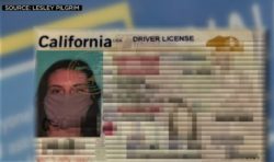 masked-driver-license