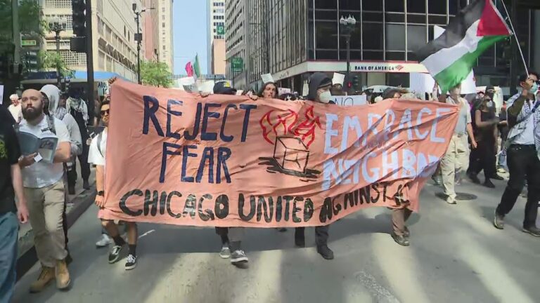 W Chicago odbyła się manifestacja solidarności z Los Angeles