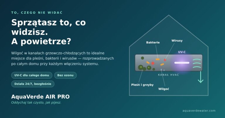 Czysty dom, brudne powietrze? Co kryje się w kanałach wentylacyjnych naszych domów